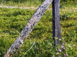 Fotowalk Tennengebirge - Trontal - Streitmandl - Griesscharte